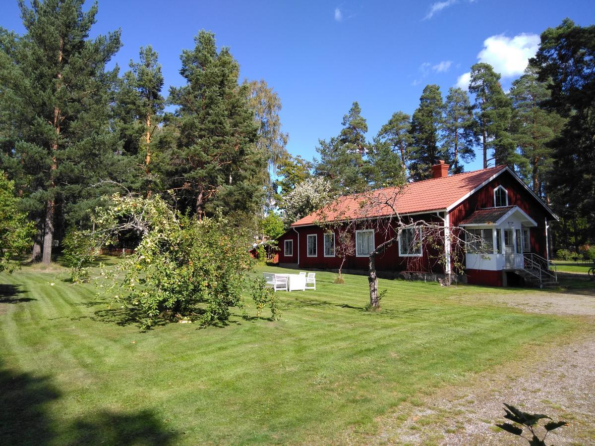 Sunny Hill Cottage Bergvik Buitenkant foto
