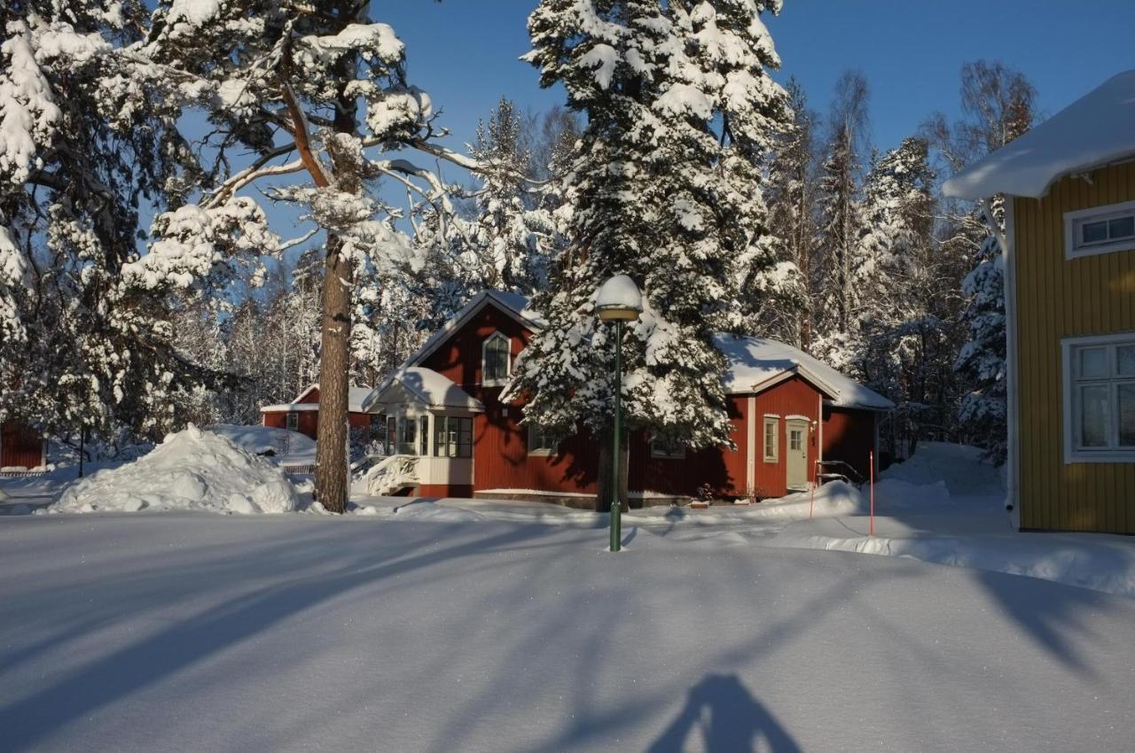 Sunny Hill Cottage Bergvik Buitenkant foto